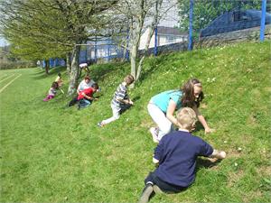 Plymouth’s Buzzing 02/05/2013