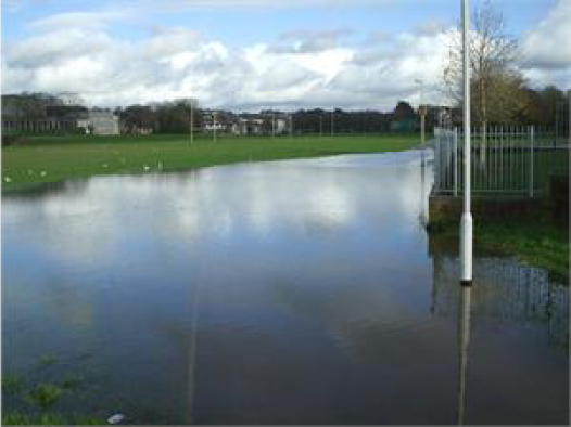 Plymouth’s Buzzing 13/12/2012