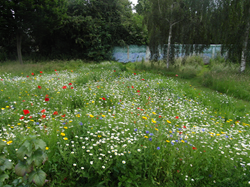Glen Mosaic Garden © Chris Ferry