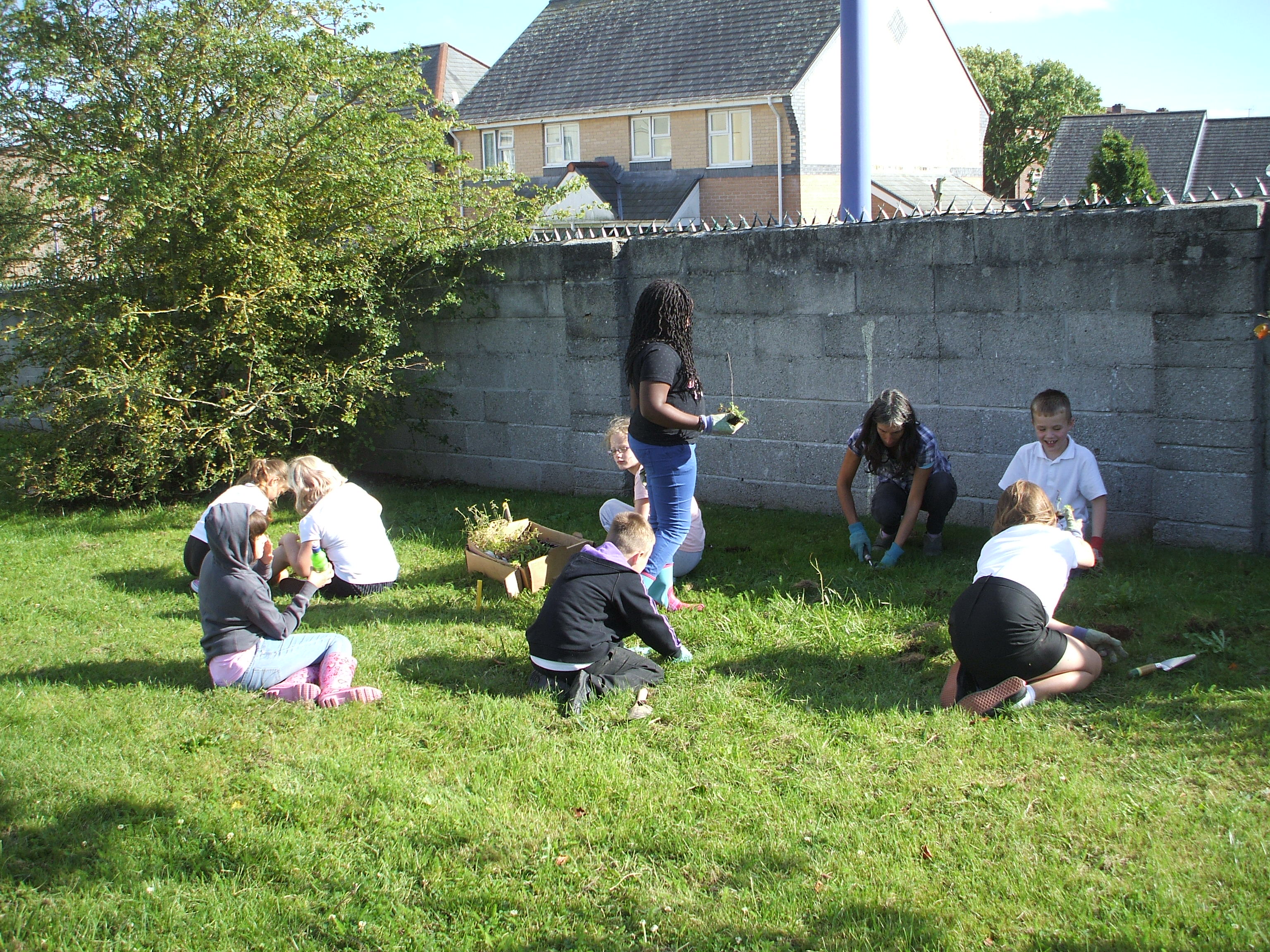Buzzing with High Street Primary School