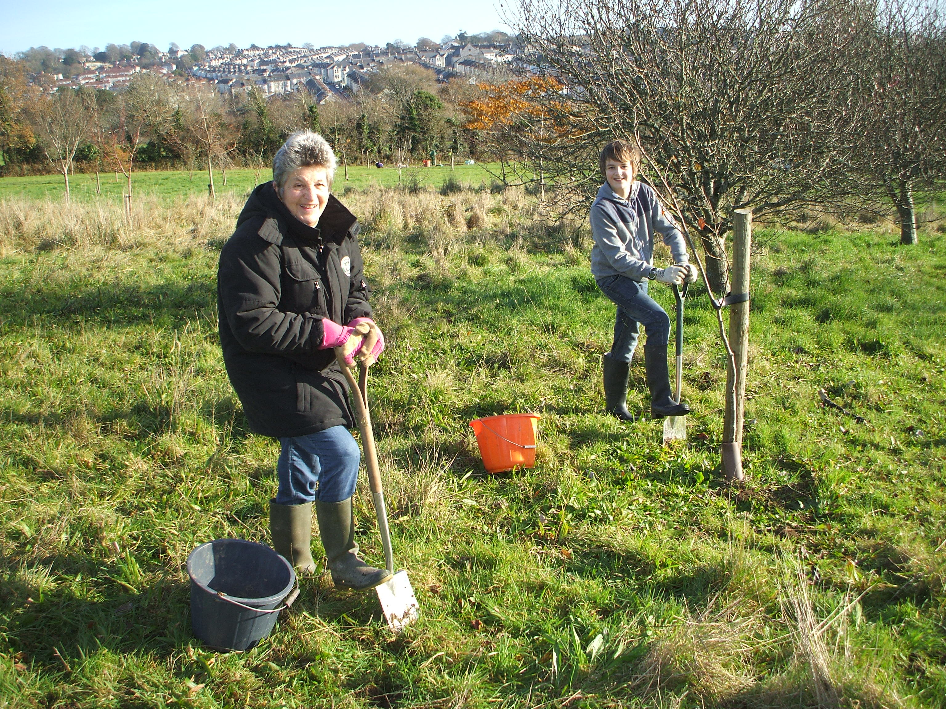 Creating a buzz in Central Park