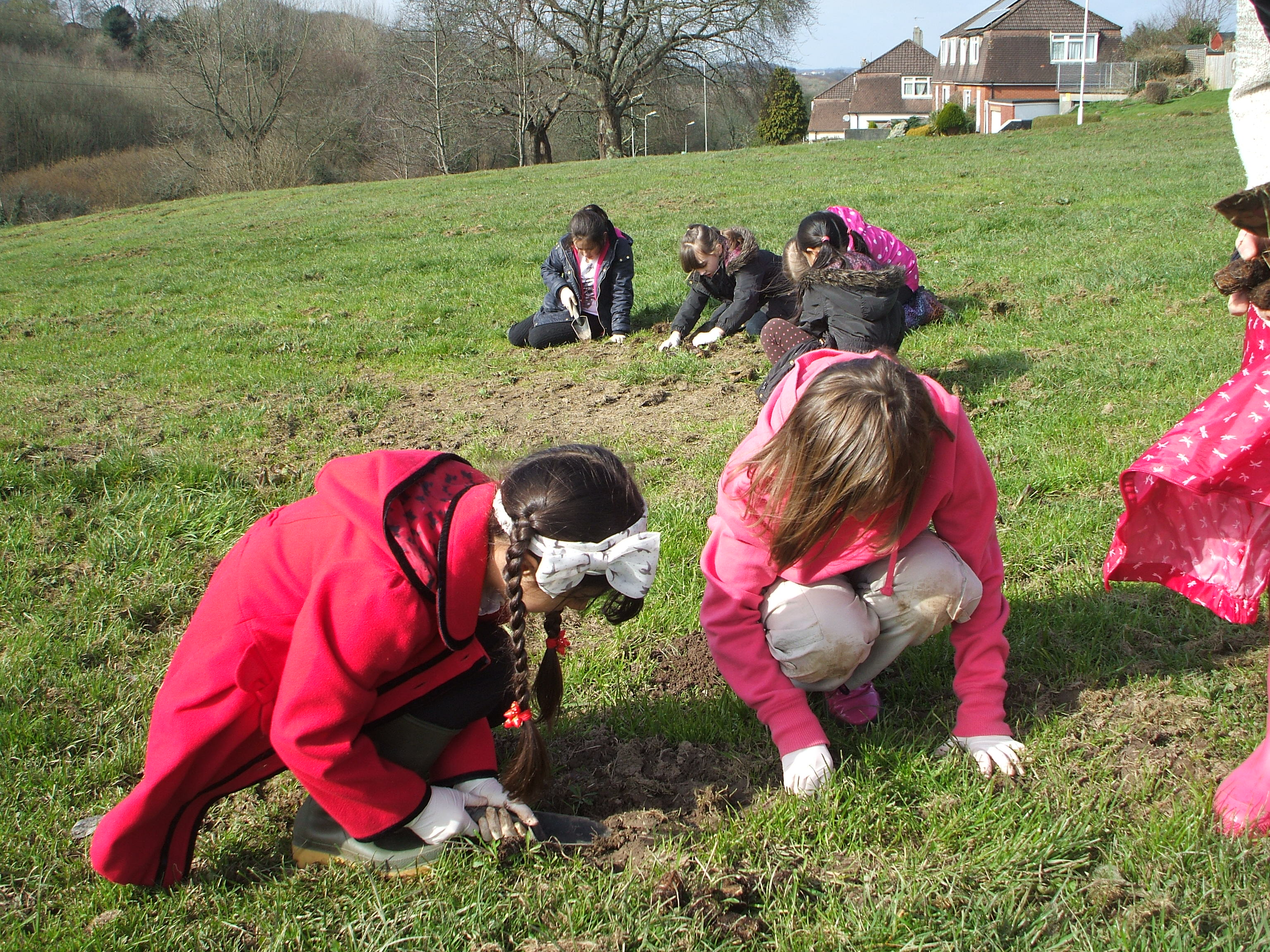 Whitleigh’s Buzzing