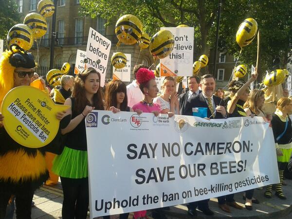 UK attempted neonic ban bust a microcosm of pesticide policy?