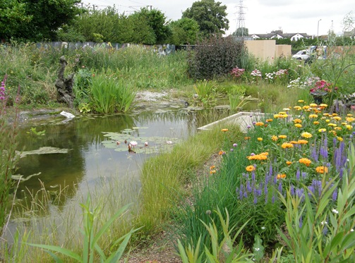 Helping our natural heritage hit the Lottery jackpot