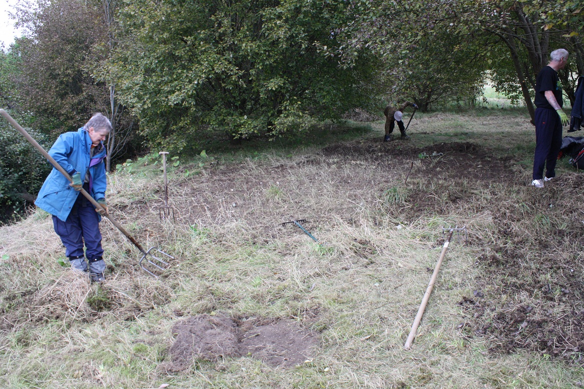 The creation continues