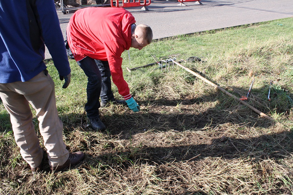 Meadow creation, the people power way