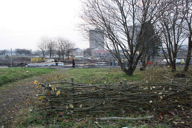 Meadow maintenance and willow fencing