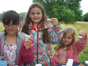 Plymouth’s Buzzing 31/07/2013