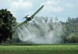 The Drugs (Neonicotinoids) Don’t Work 2