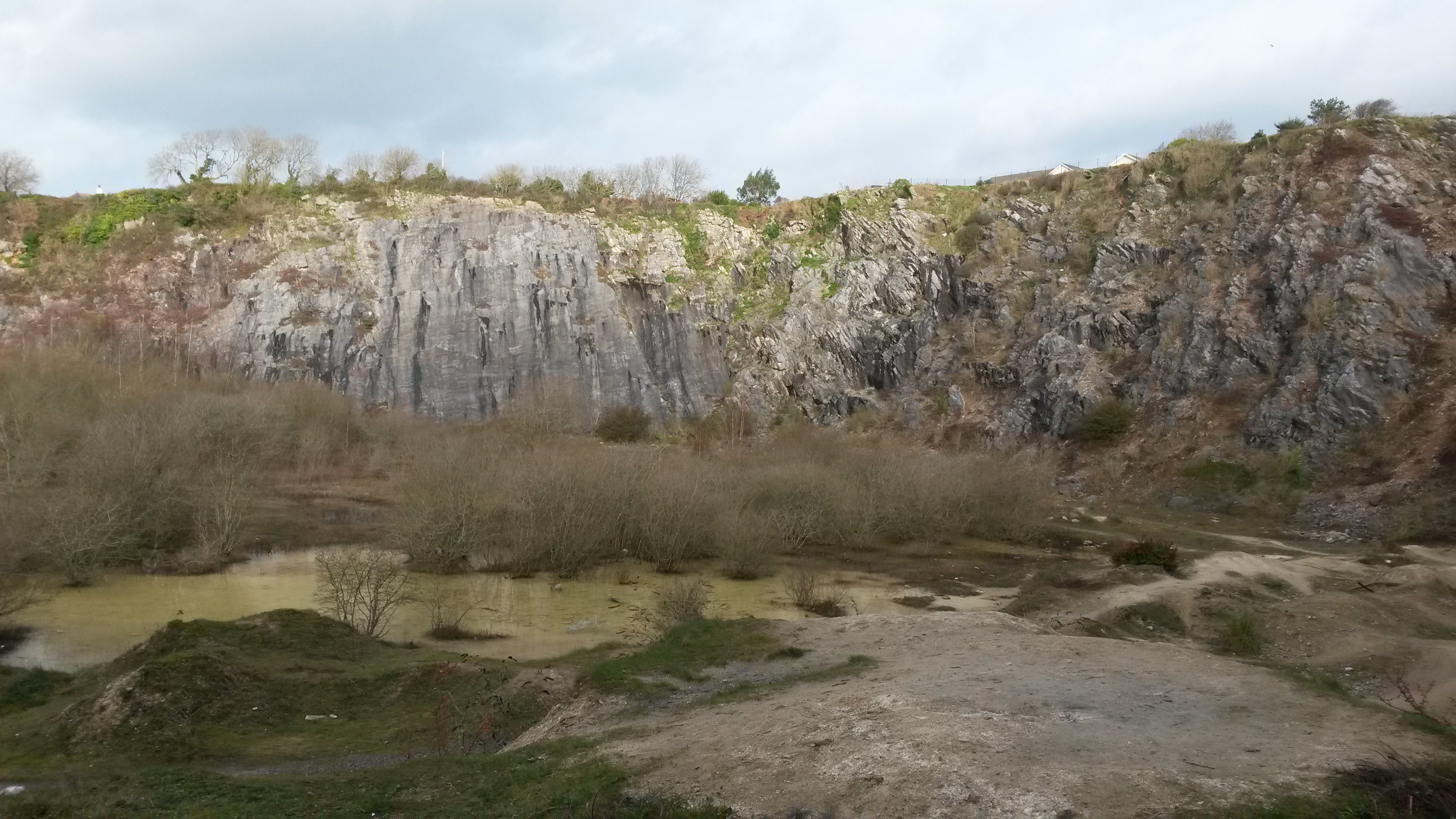 Three threatened wildlife sites – all brownfields – no coincidence