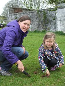 Plymouth’s Buzzing 12/05/2013