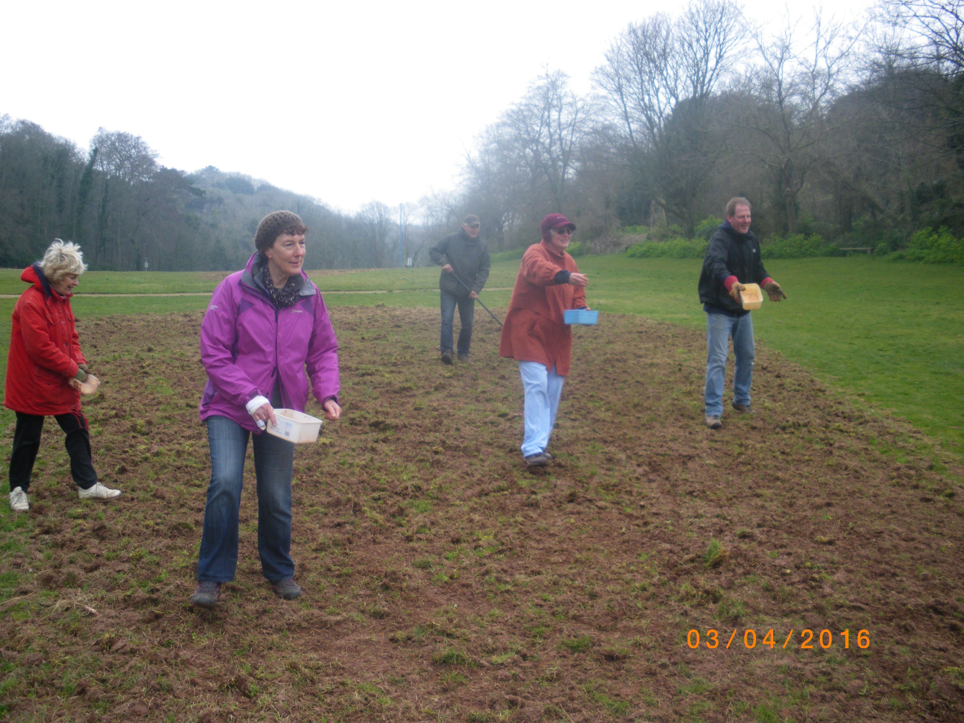 The first wildflower meadow in the Torbay’s Buzzing project is sown!