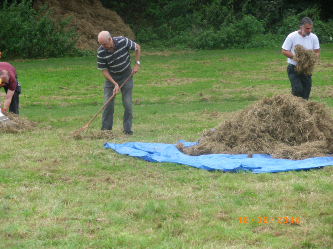 Torbay’s Buzzing Blog January 2017