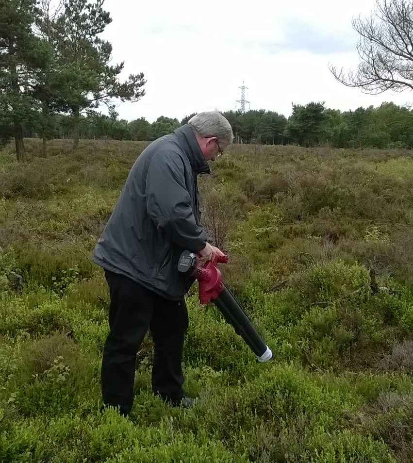 MSP leaps at chance to see rare jumping spider!