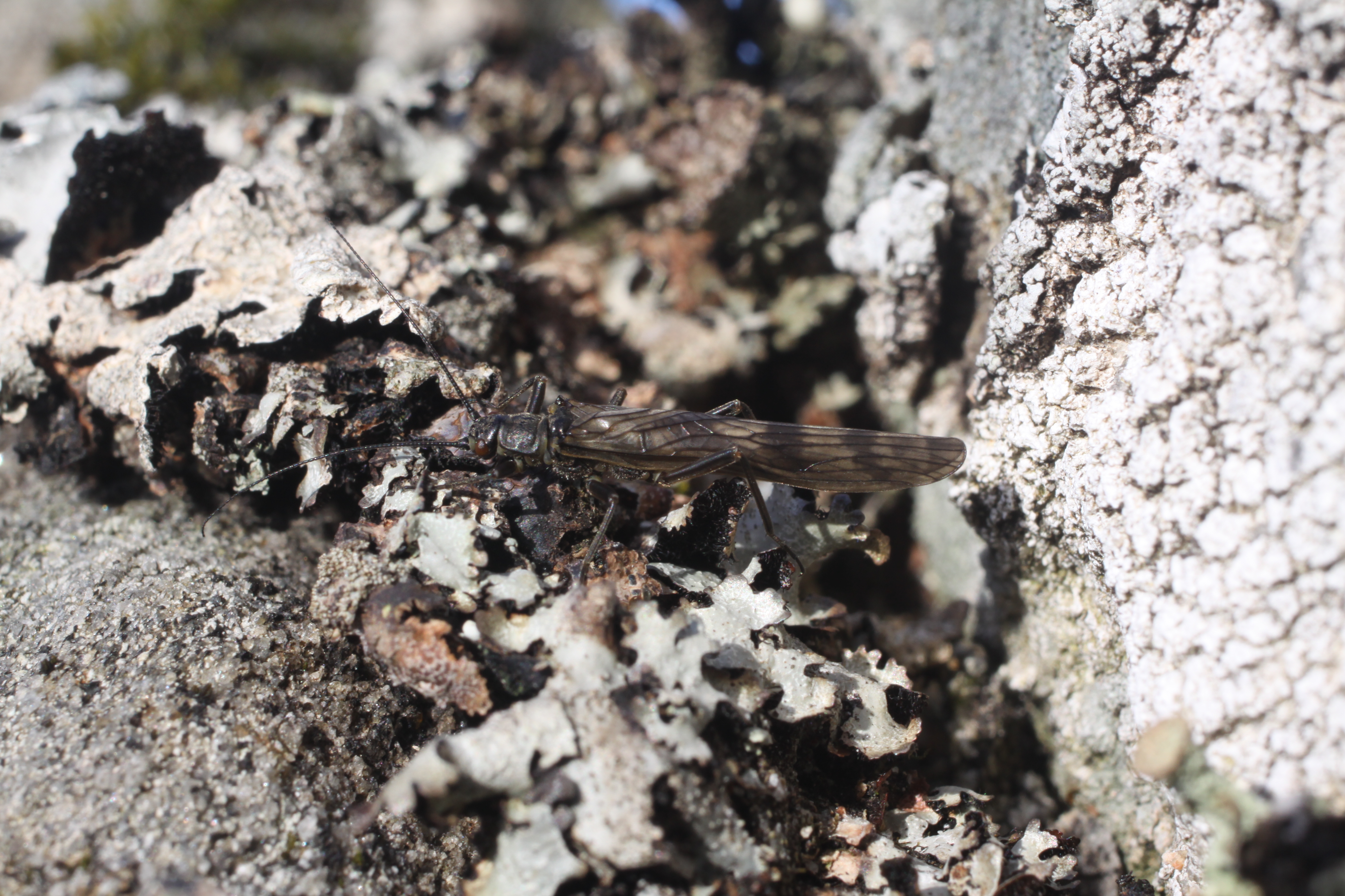 February brings hope after the floods