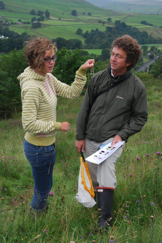 Creating wildflower super highways