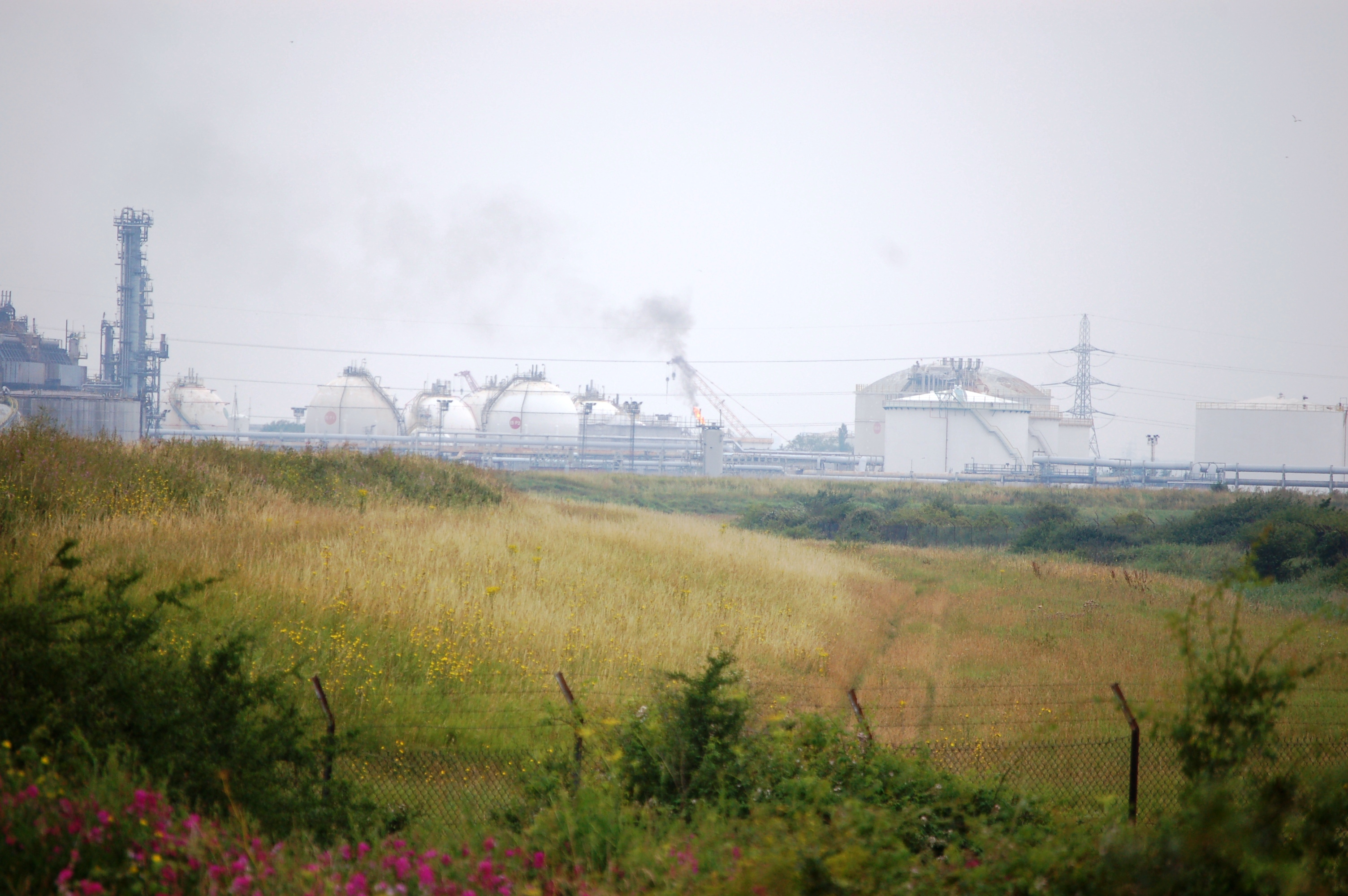Groundbreaking habitat restoration project gets started