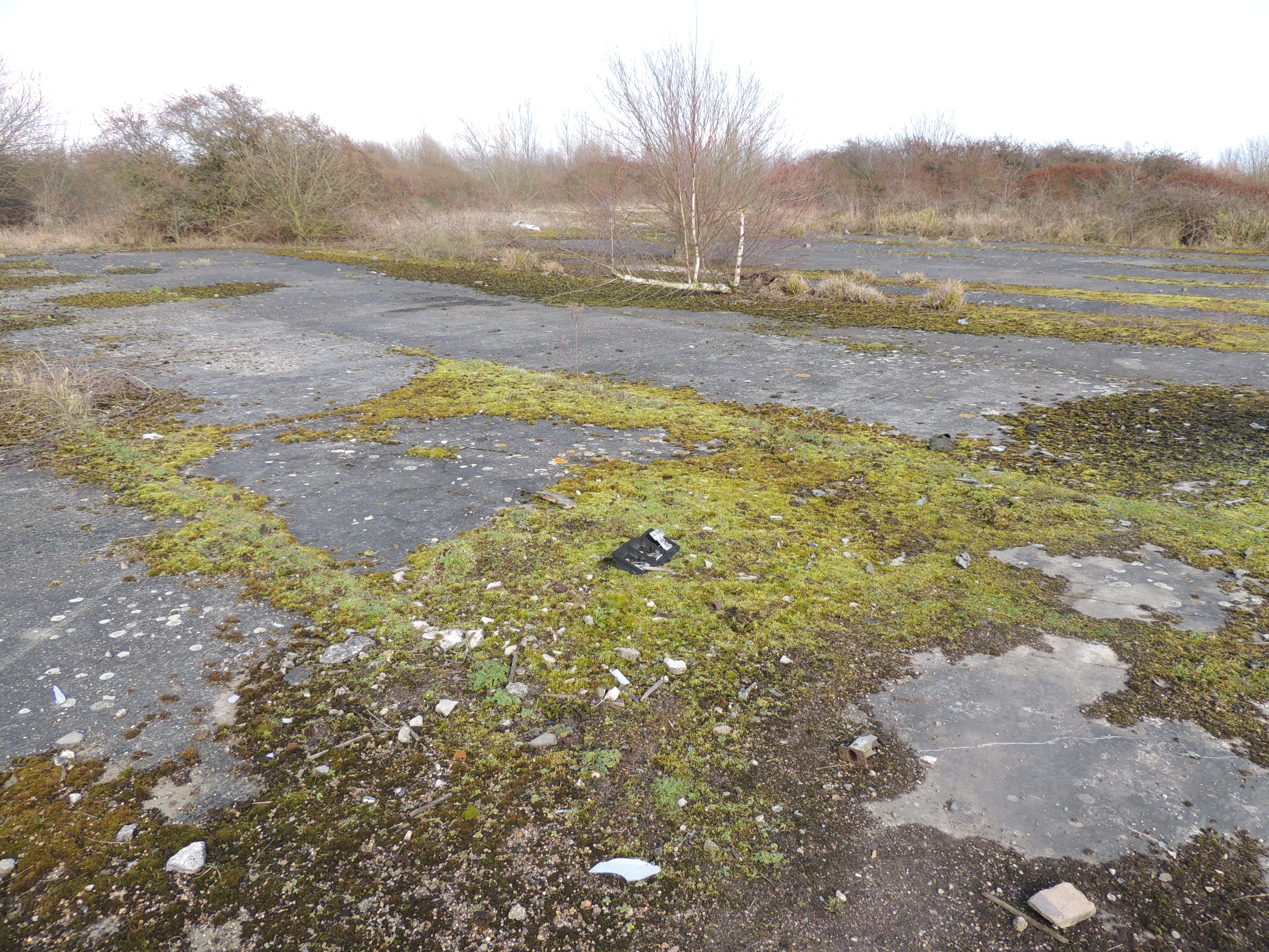 NGOs call for wildlife havens to be protected from new development