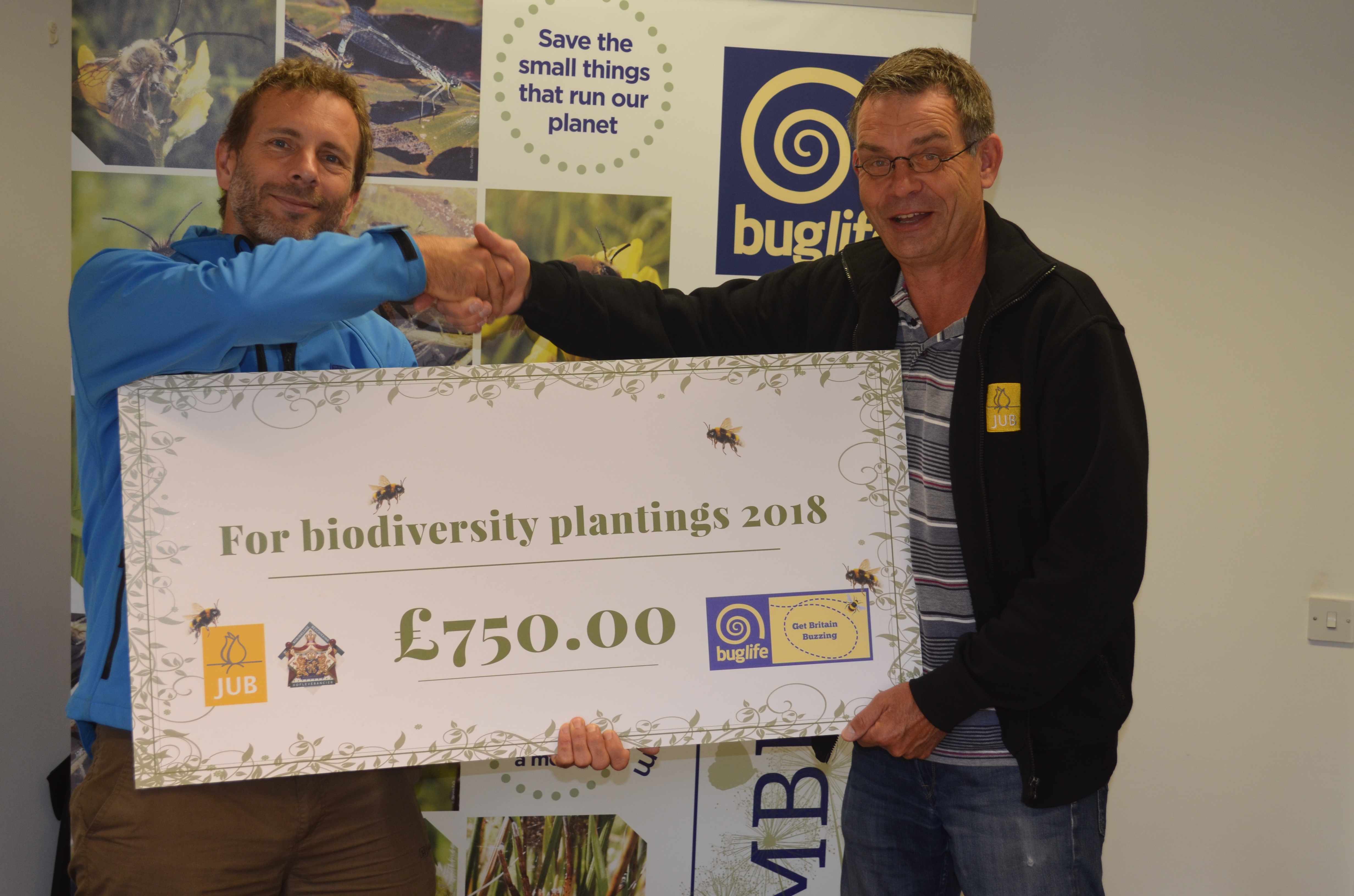 Buglife partner with Jub Holland bulbs to brighten our towns