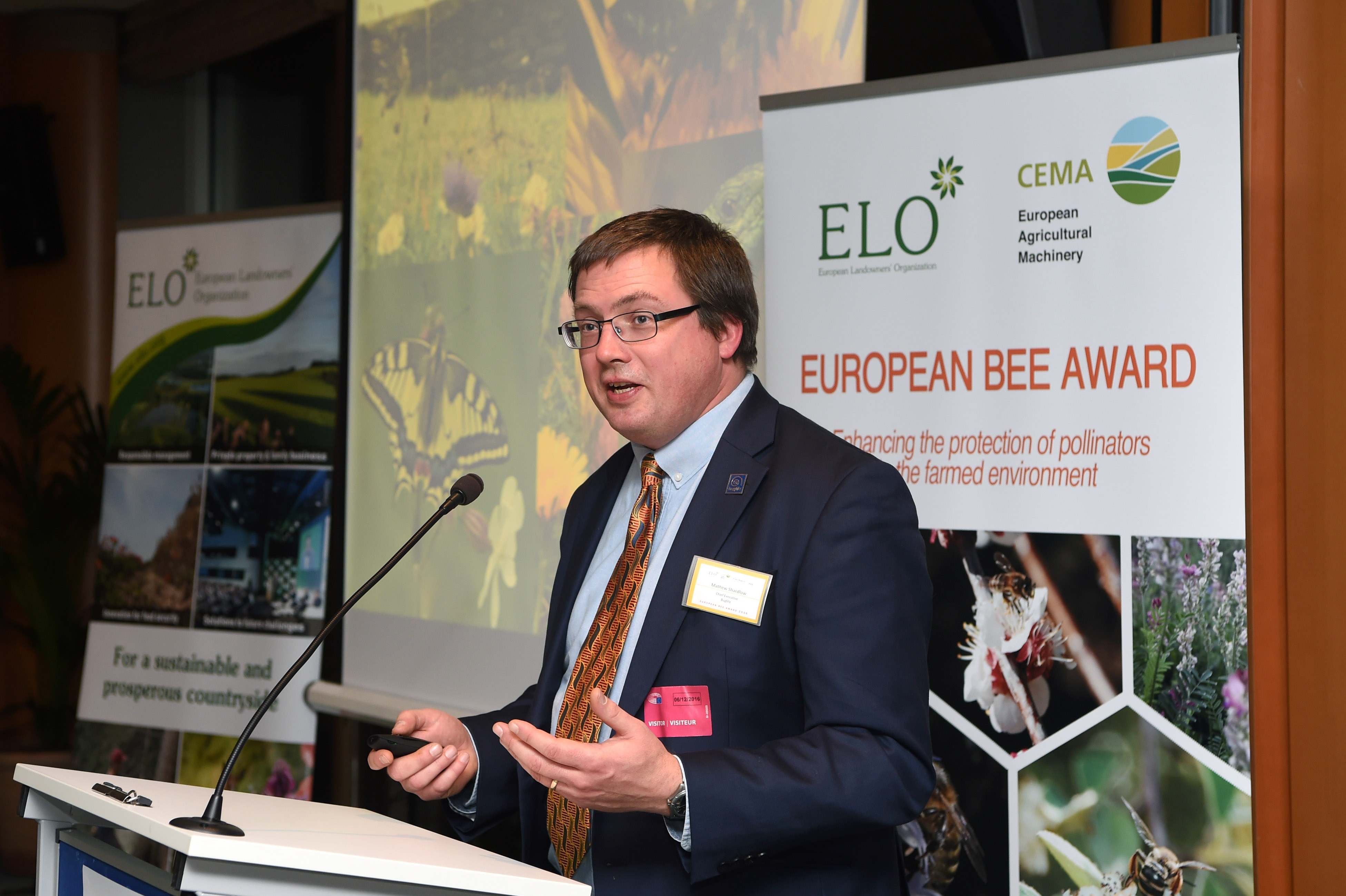 Wildlife organisations across Europe unite for pollinators