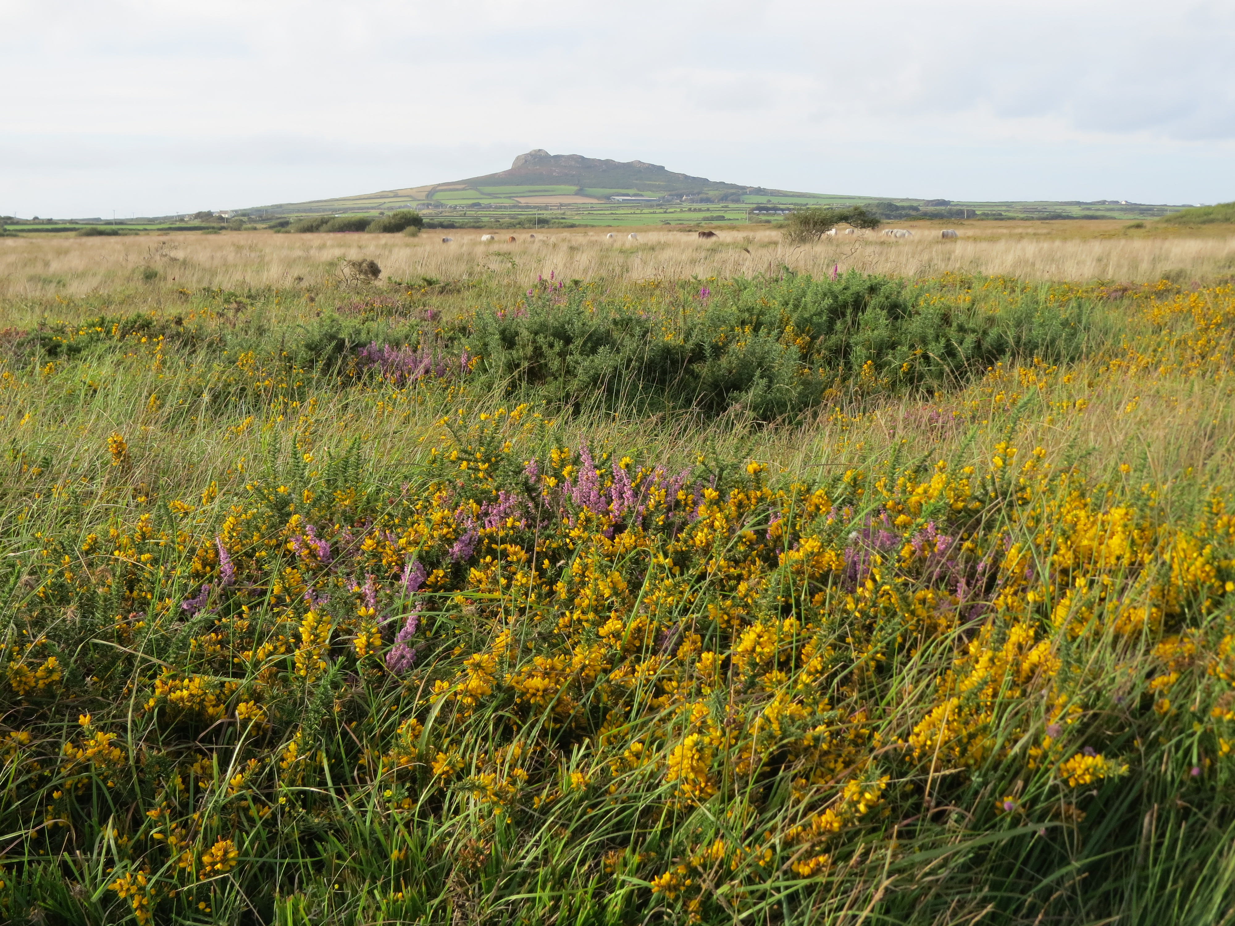 Wales is the first country to have a complete B Lines map