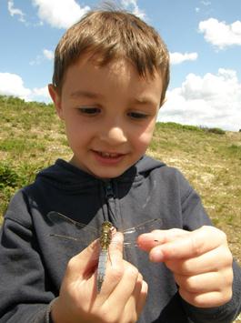Heritage Lottery Fund support keeps Peterborough buzzing