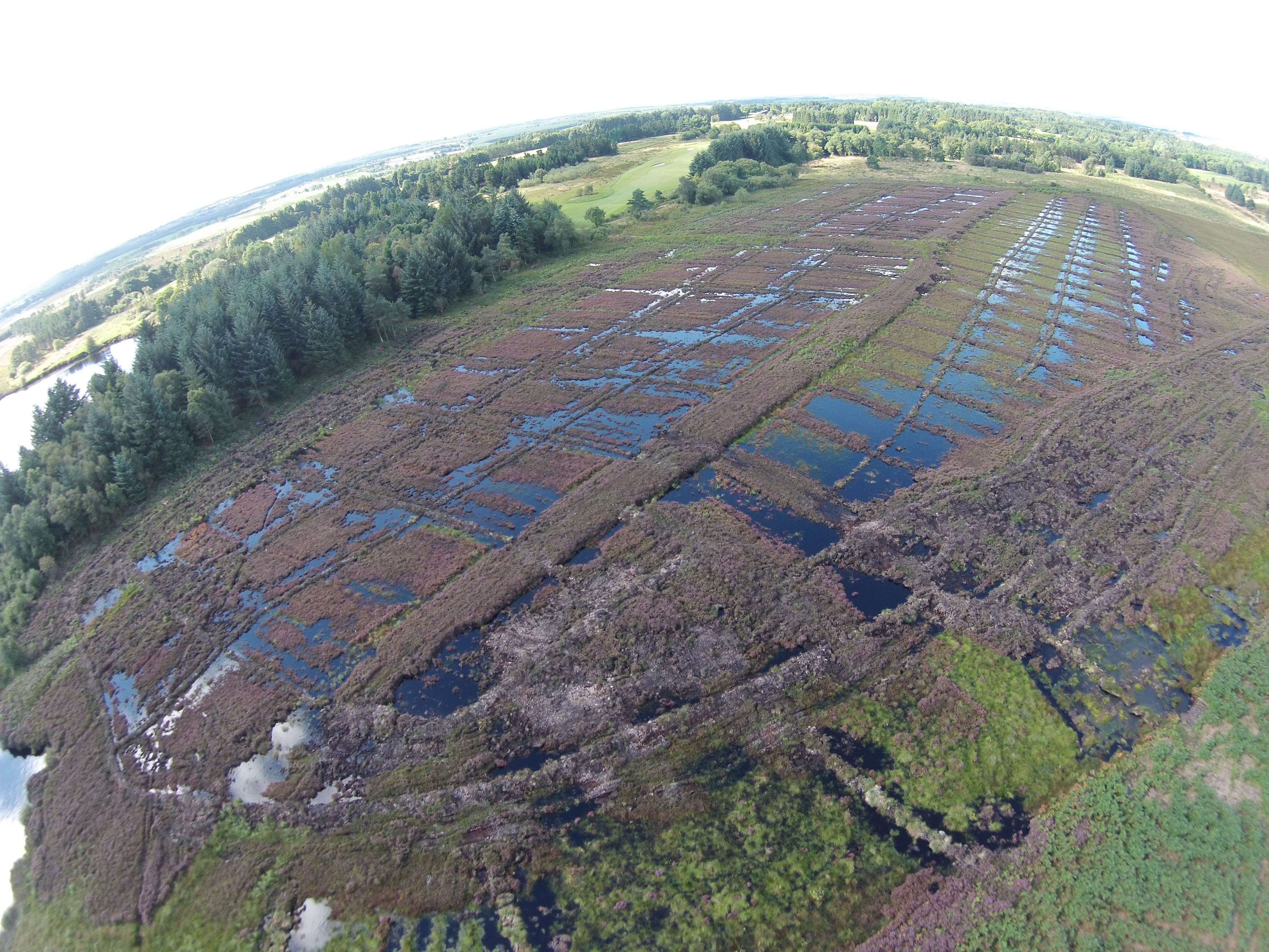 Final phase of large bog restoration project completed