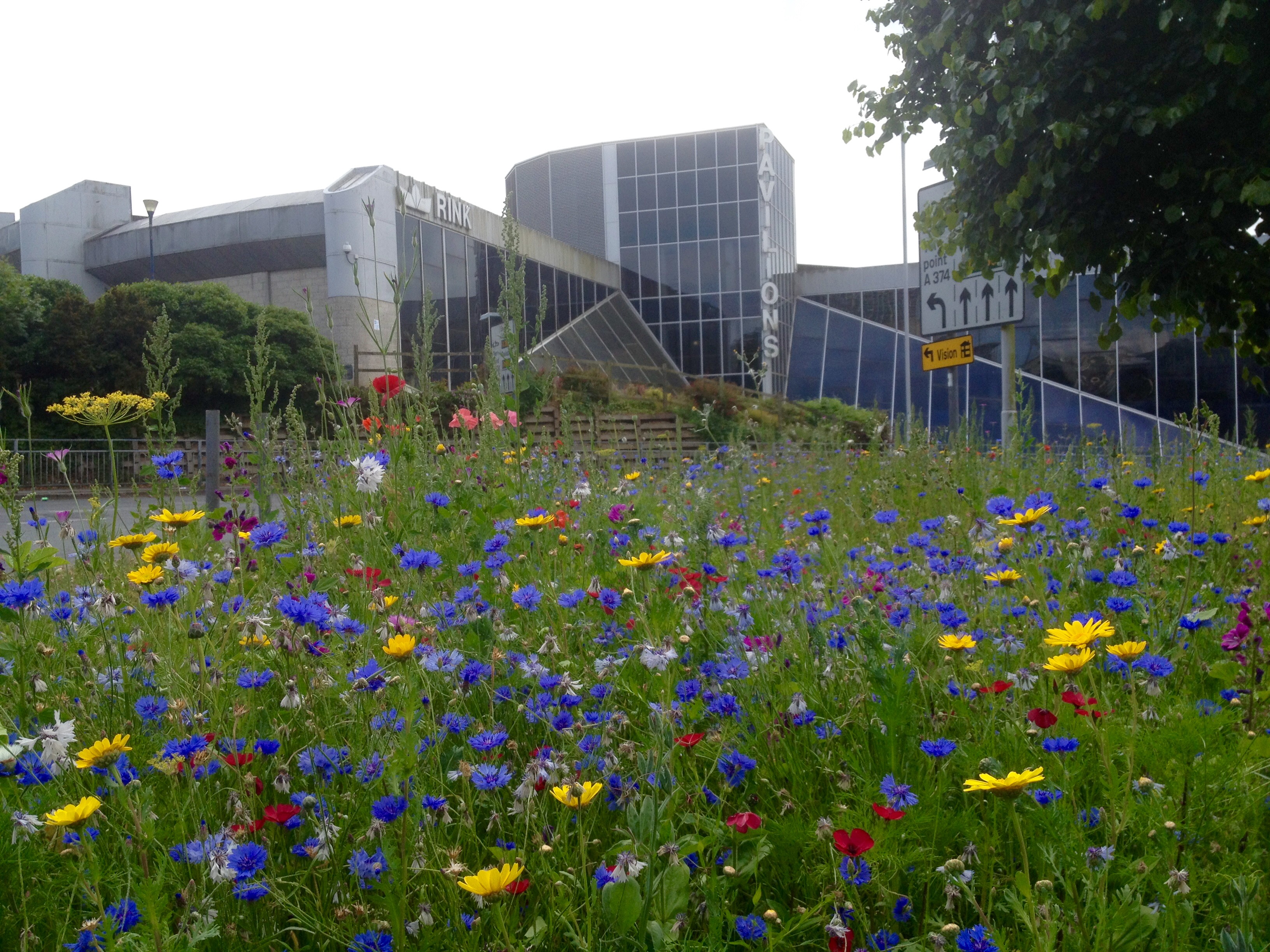 Plymouth City Centre gets a Buzzing Boost