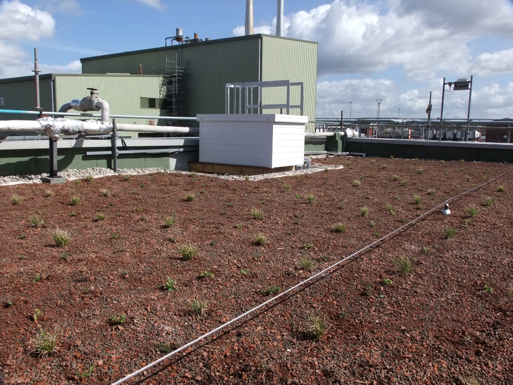 First Biodiverse Green Roof for Grangemouth