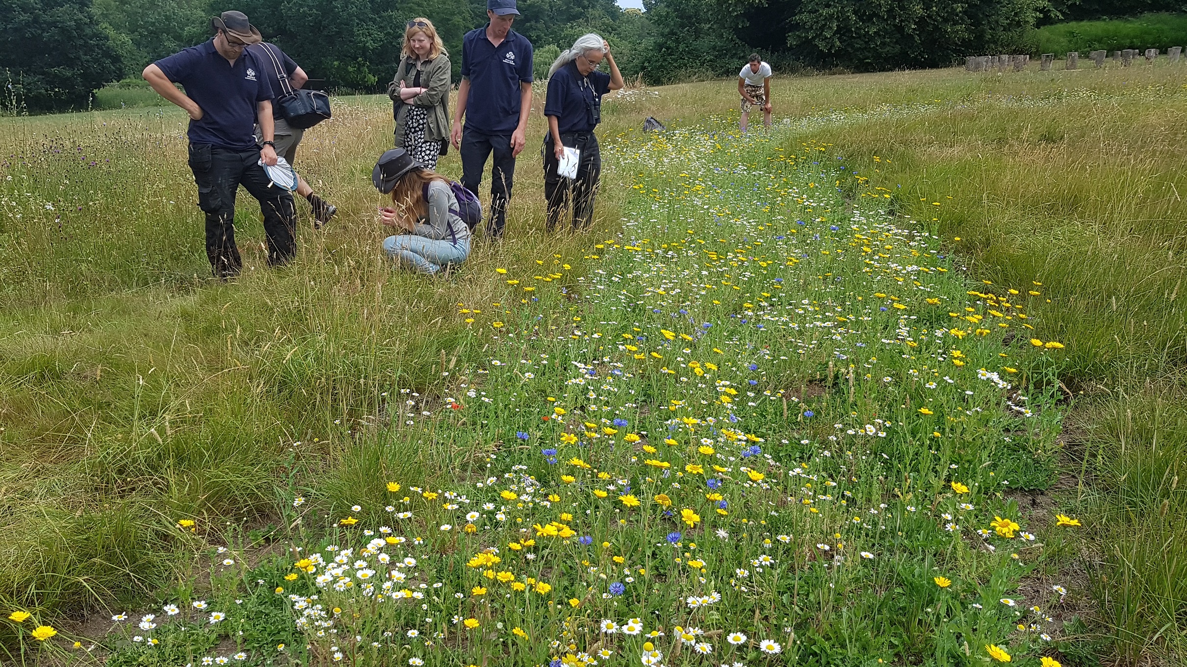 Ipswich has an Urban Buzz