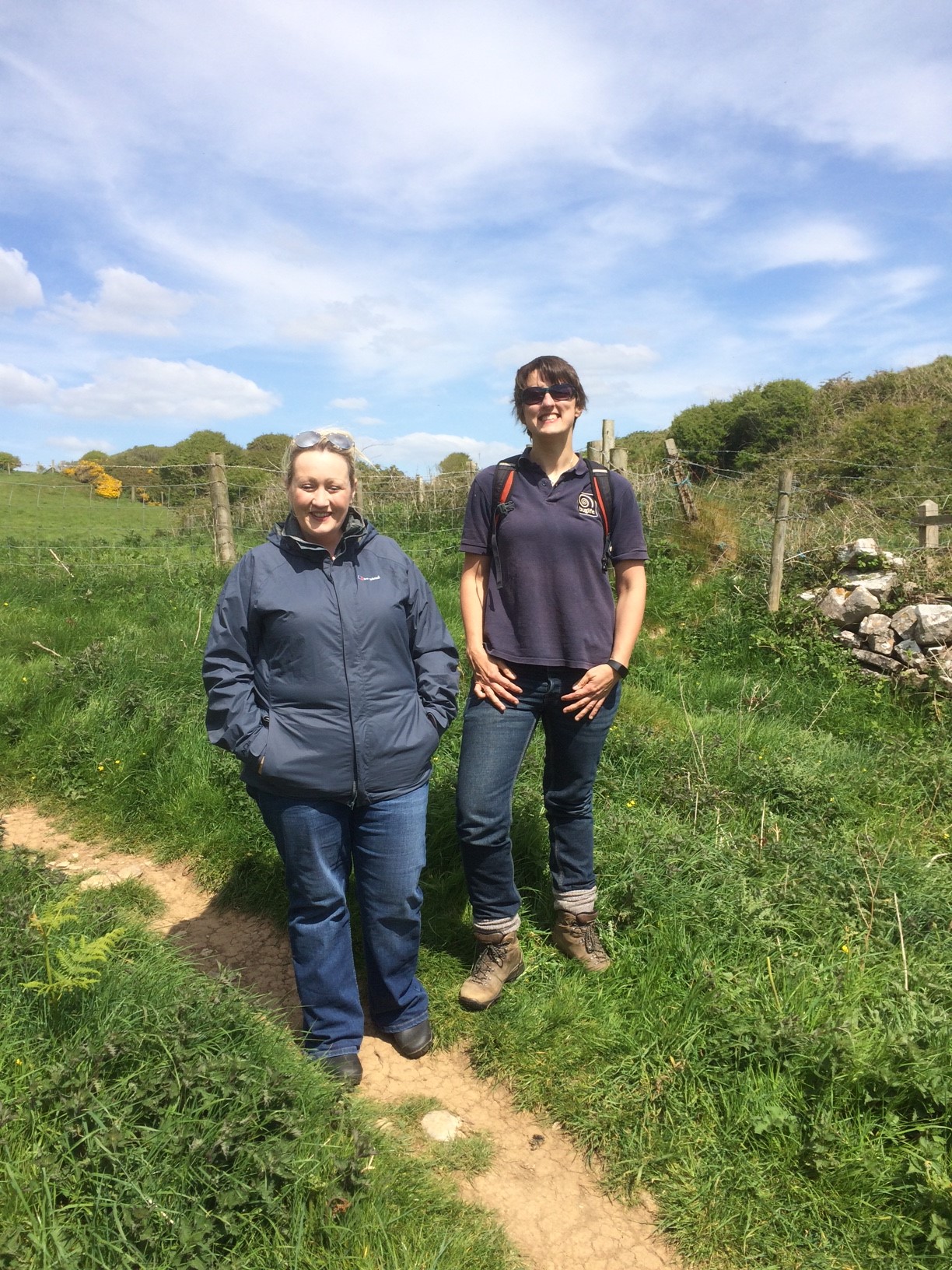 Species Champion searches for Black oil beetle on the Gower coast