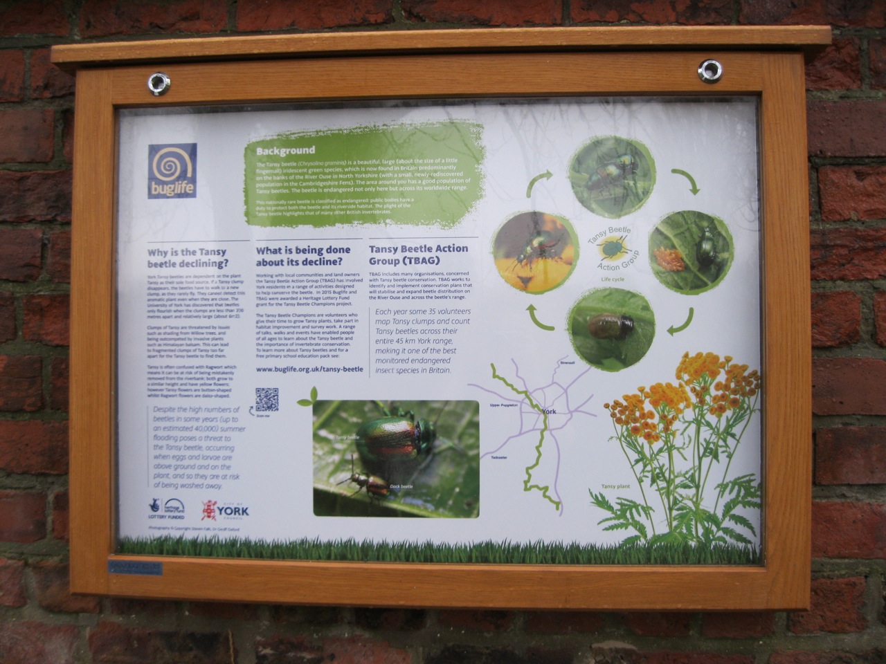 The Jewel of York – a new interpretation