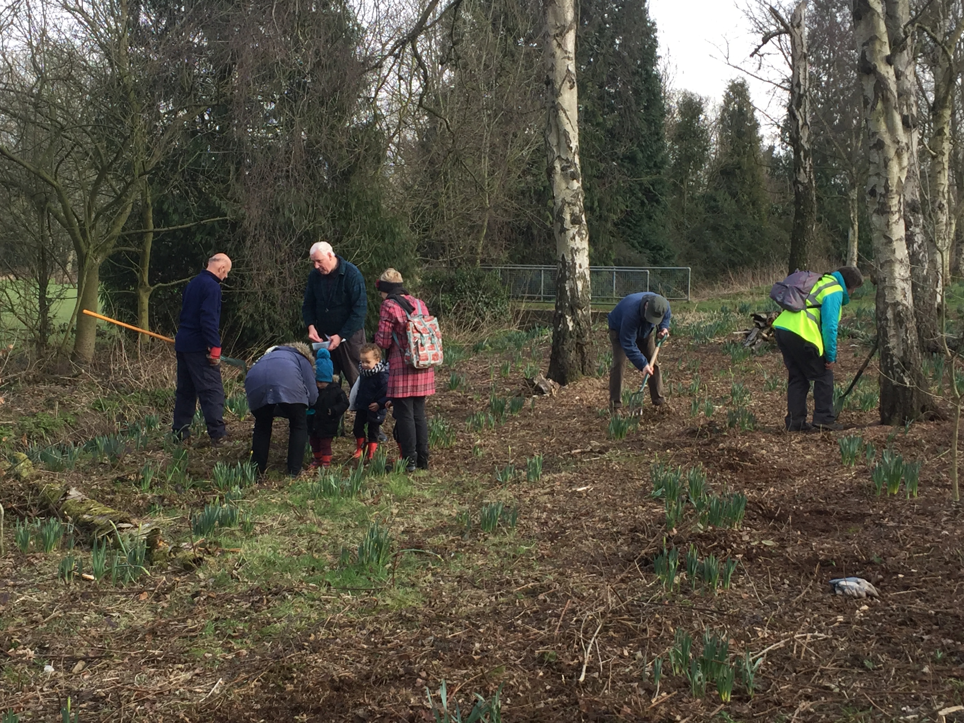 Urban Buzzing Birmingham Success