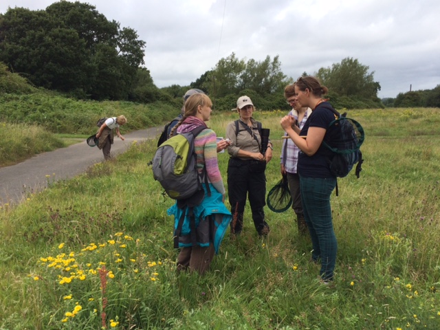 A thrill for the shrill in Cardiff
