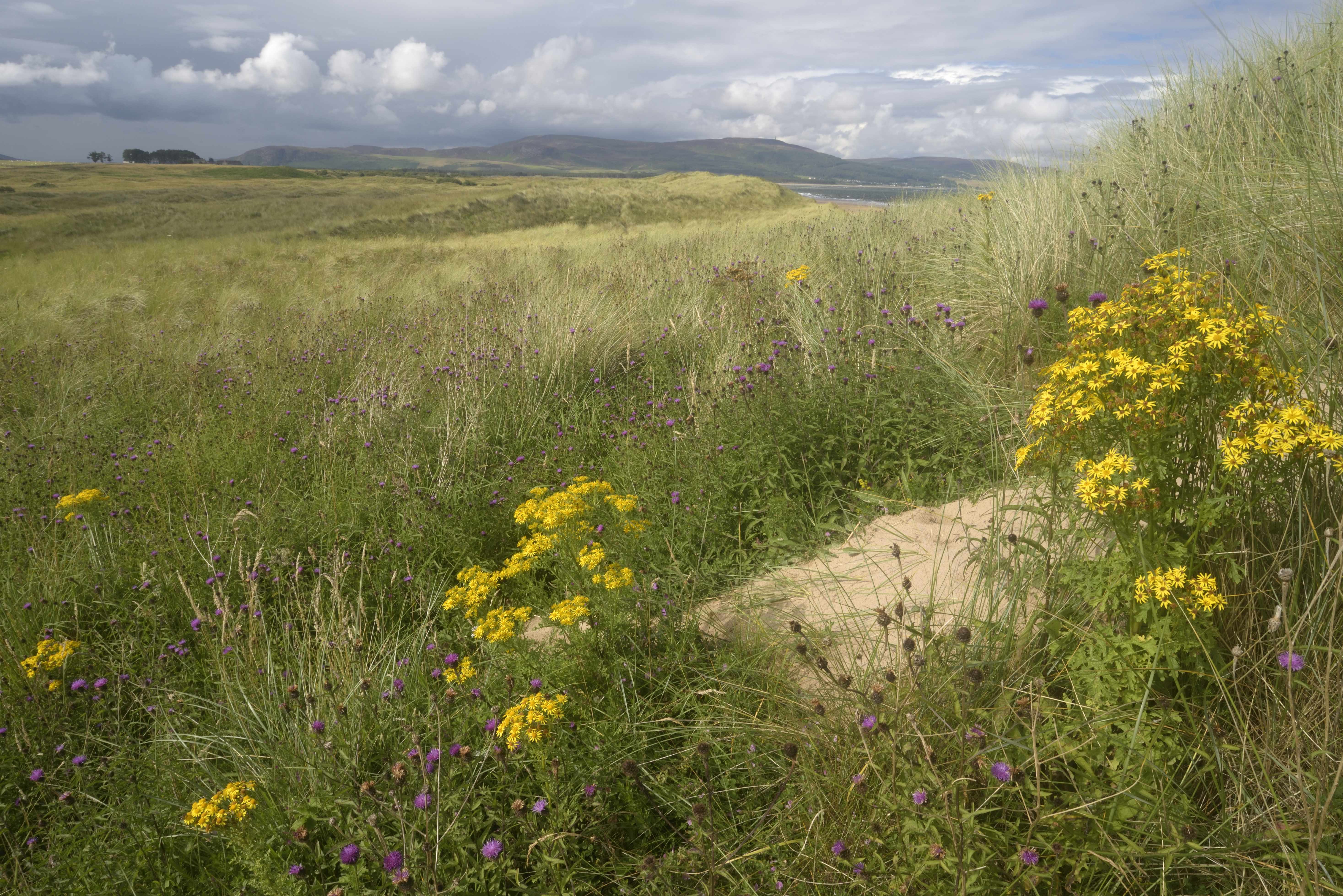 Over 900 objections speak out against Coul Links golf course plans