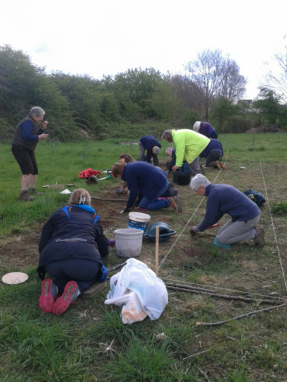 Half a million pounds for nature in Cardiff