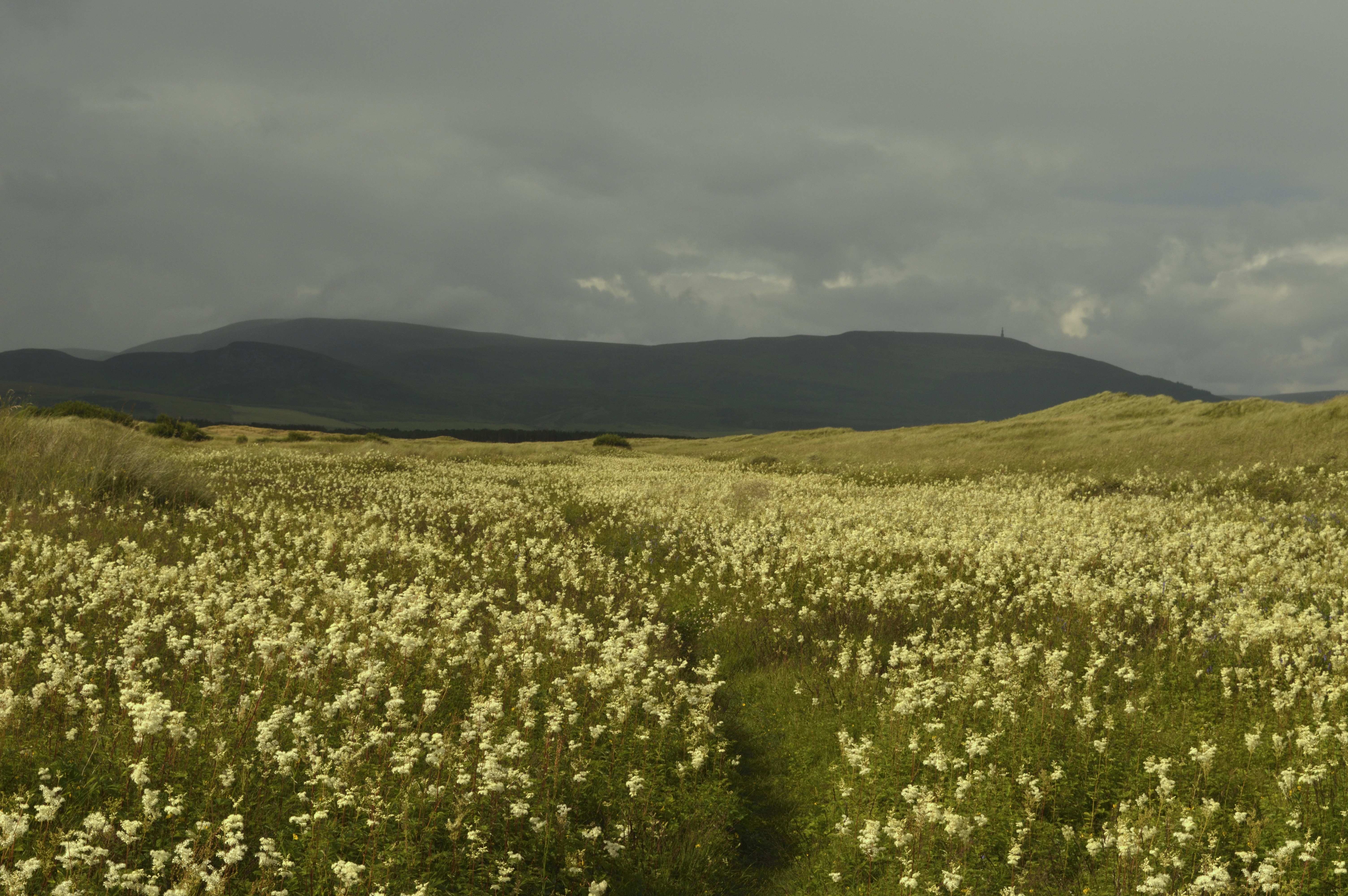 Official report calls for Coul Links refusal