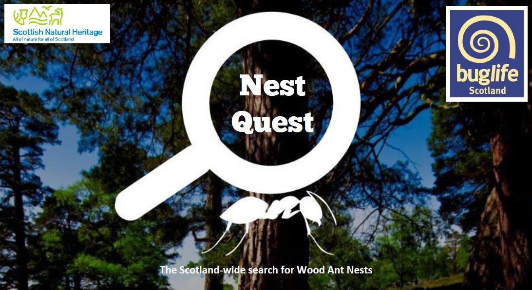 Scotland wide quest for the largest nest