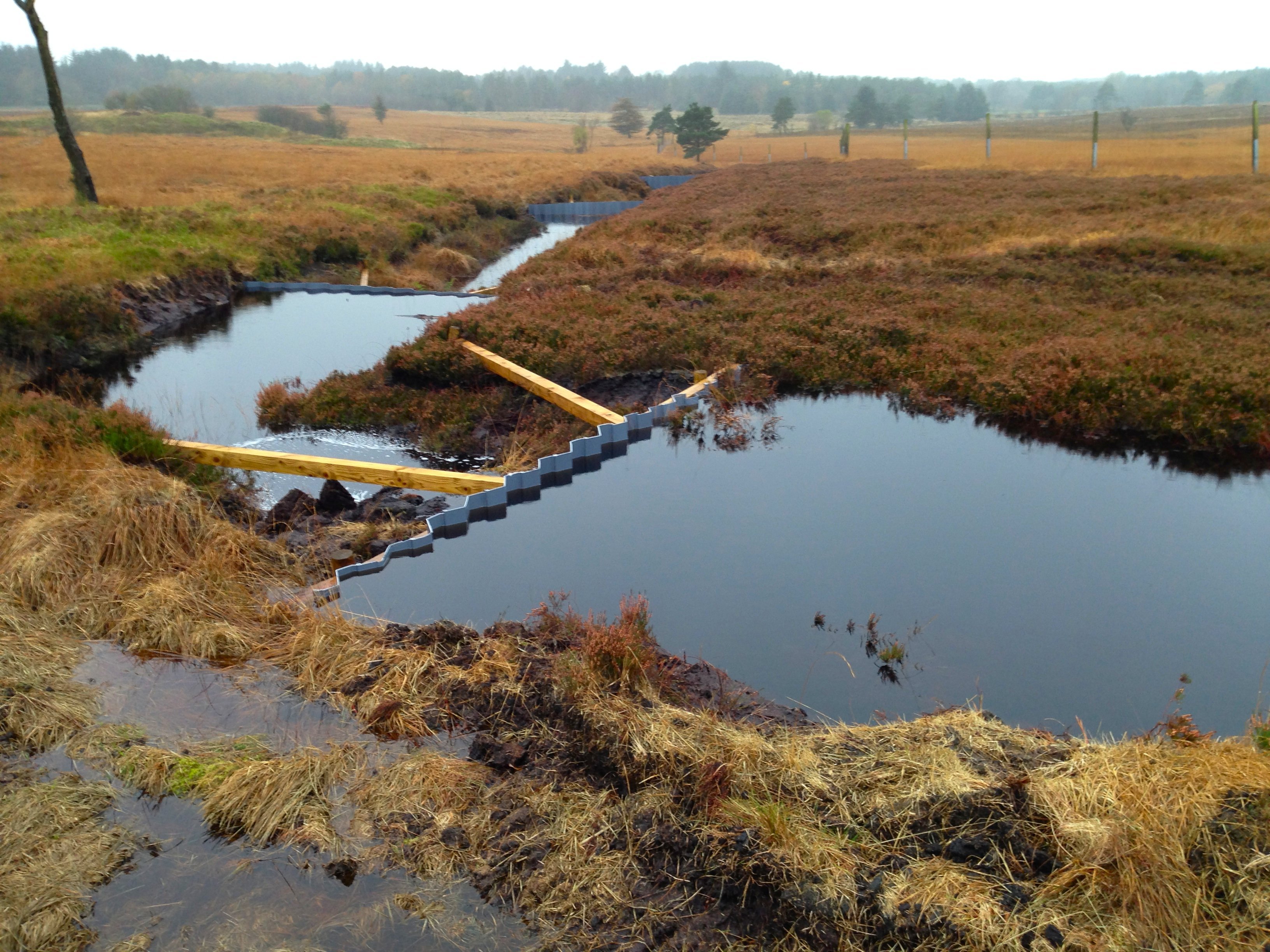 Wildlife charity ‘giving a dam’ about climate change and flood prevention