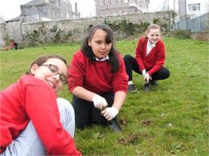 Plymouth school children help to get the City Buzzing