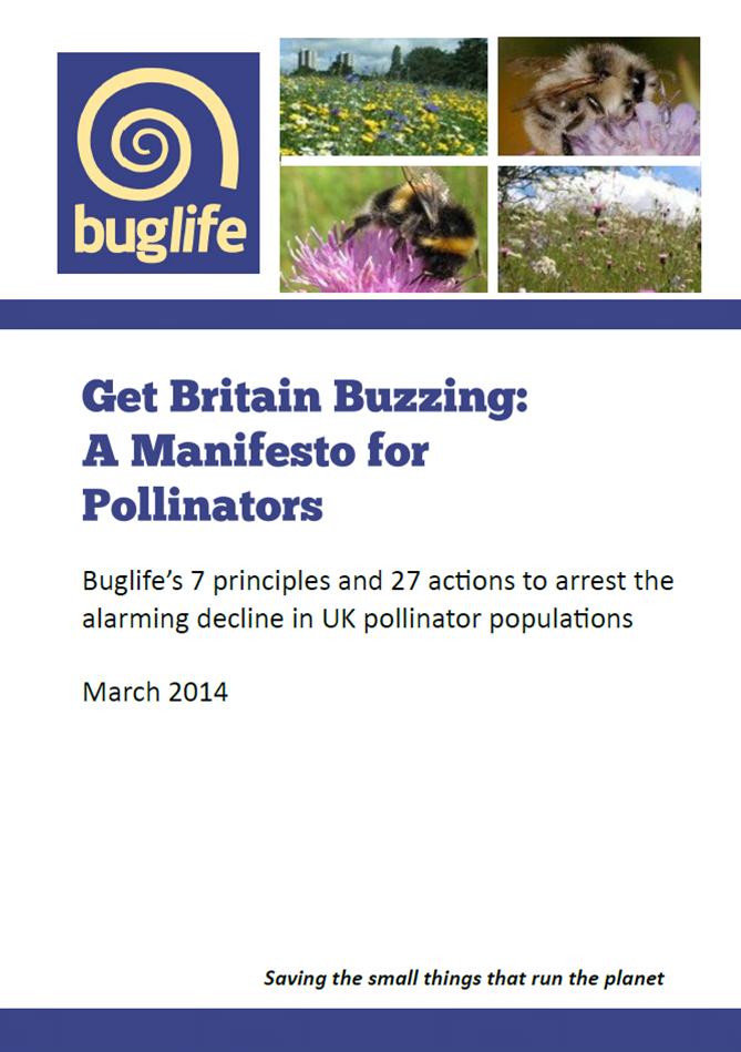 Buglife launches a manifesto for pollinators