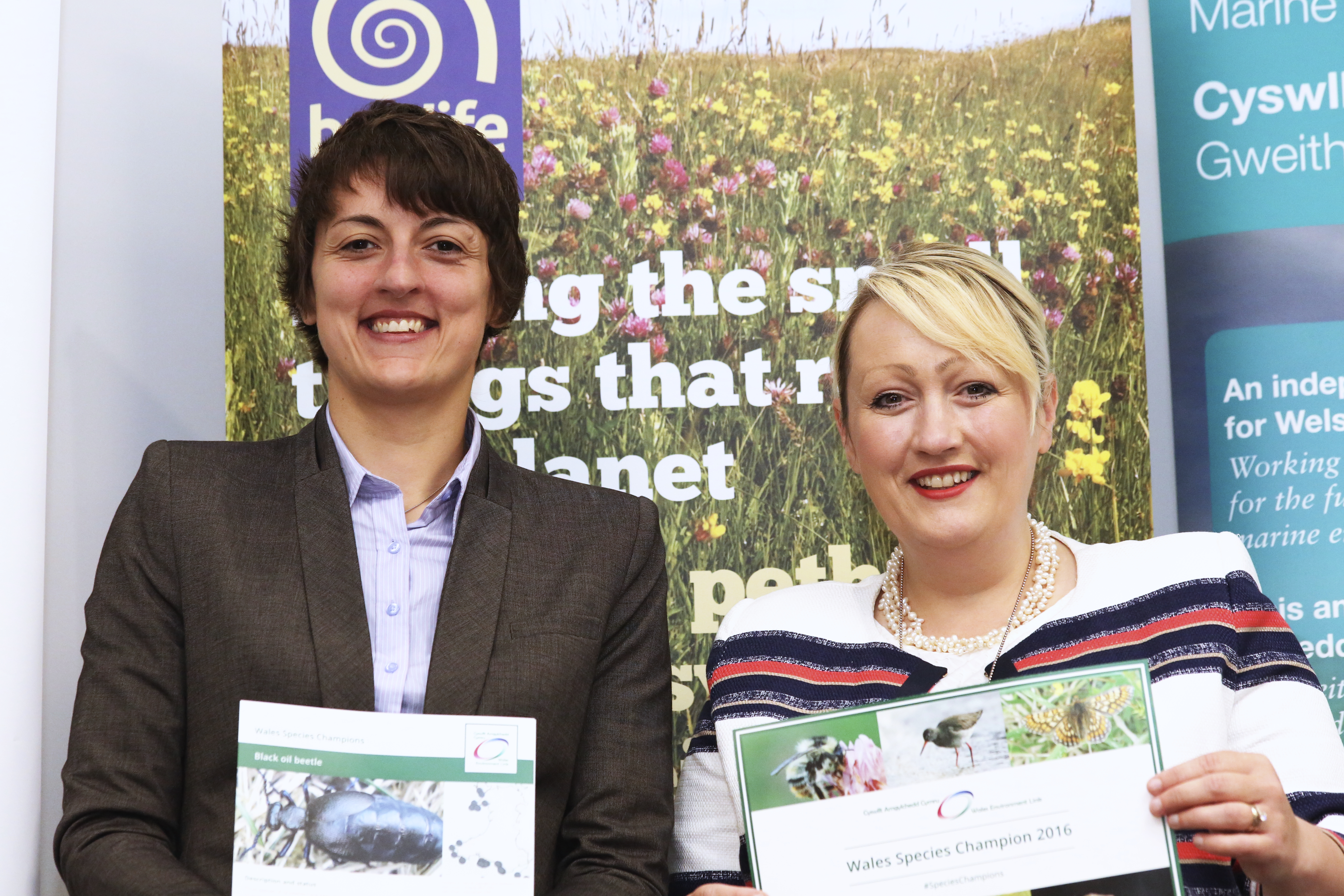 Buglife celebrates our first Species Champion in the Welsh Assembly