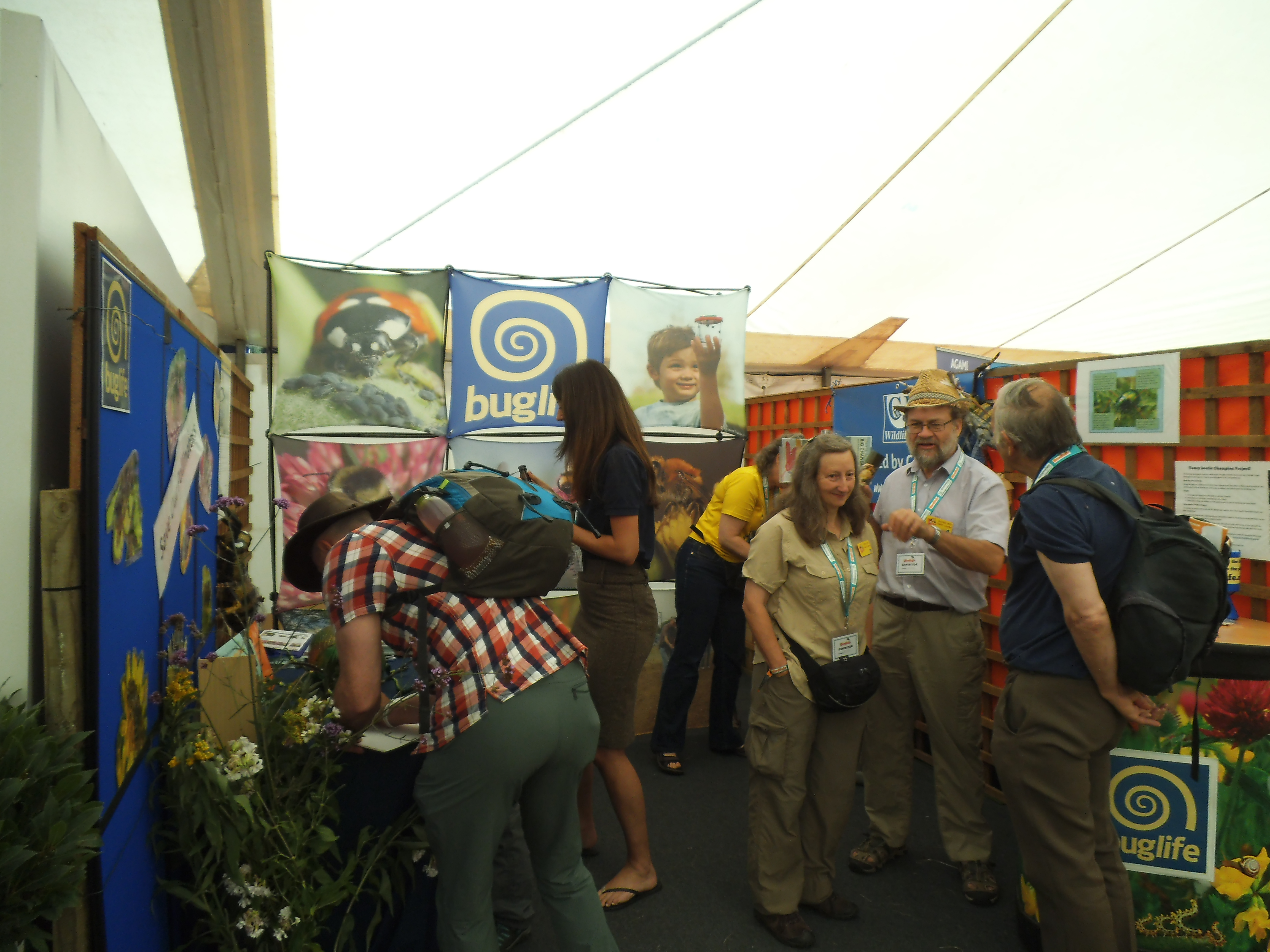 Bug Champions the search begins