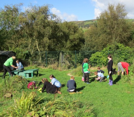 Our latest Update shows B-Lines are growing