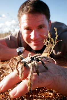 Win a Bug Hunt with Steve Backshall