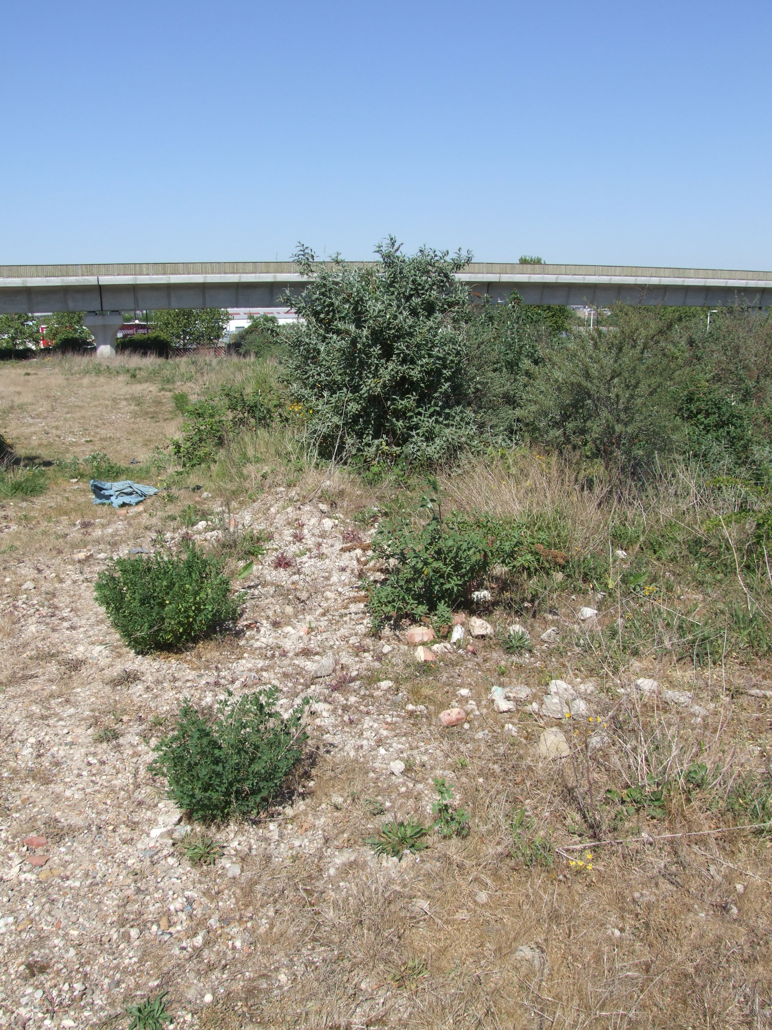 Osborne’s lack of regard for brownfield wildlife