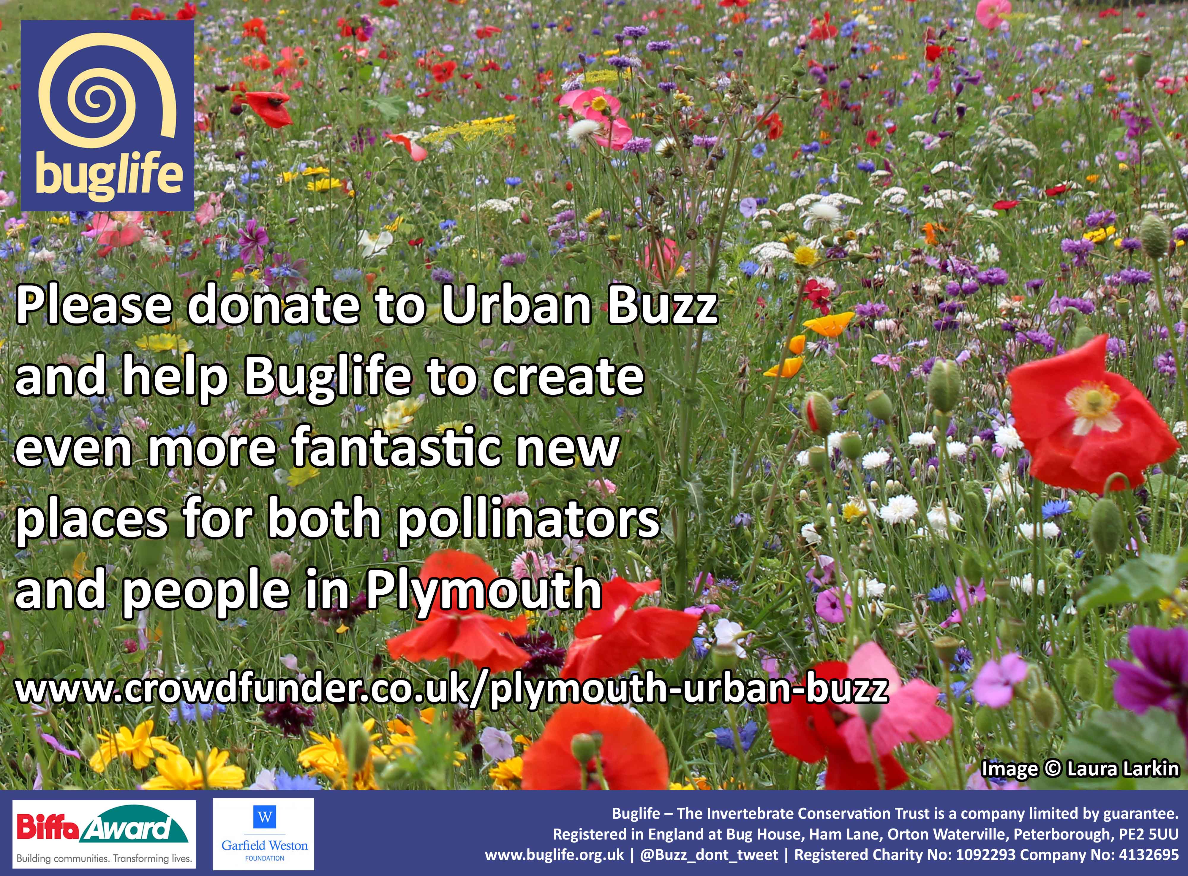 Charity launches Crowdfunder appeal to give Plymouth a Buzz