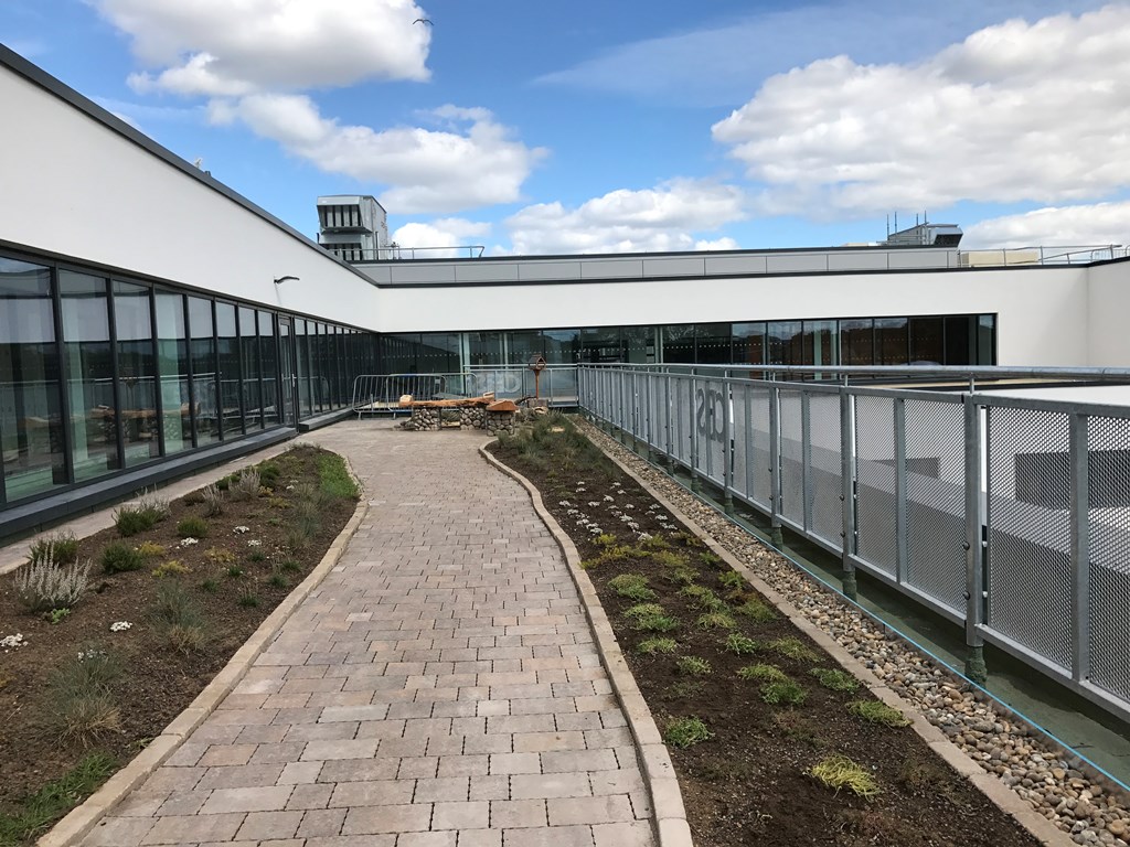 Rooftop garden will help new school’s pupils blossom!