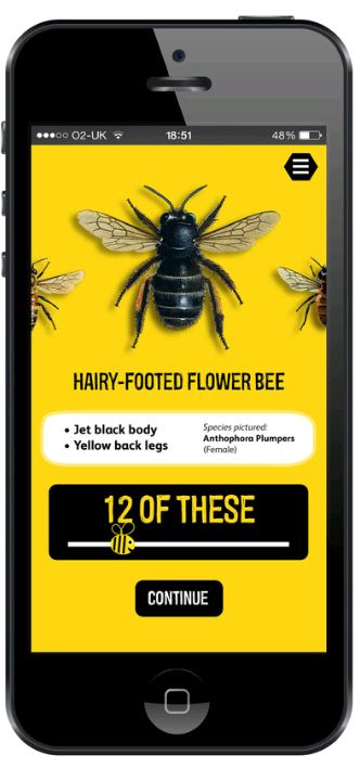 Bumblebees most spotted in Great British bee count