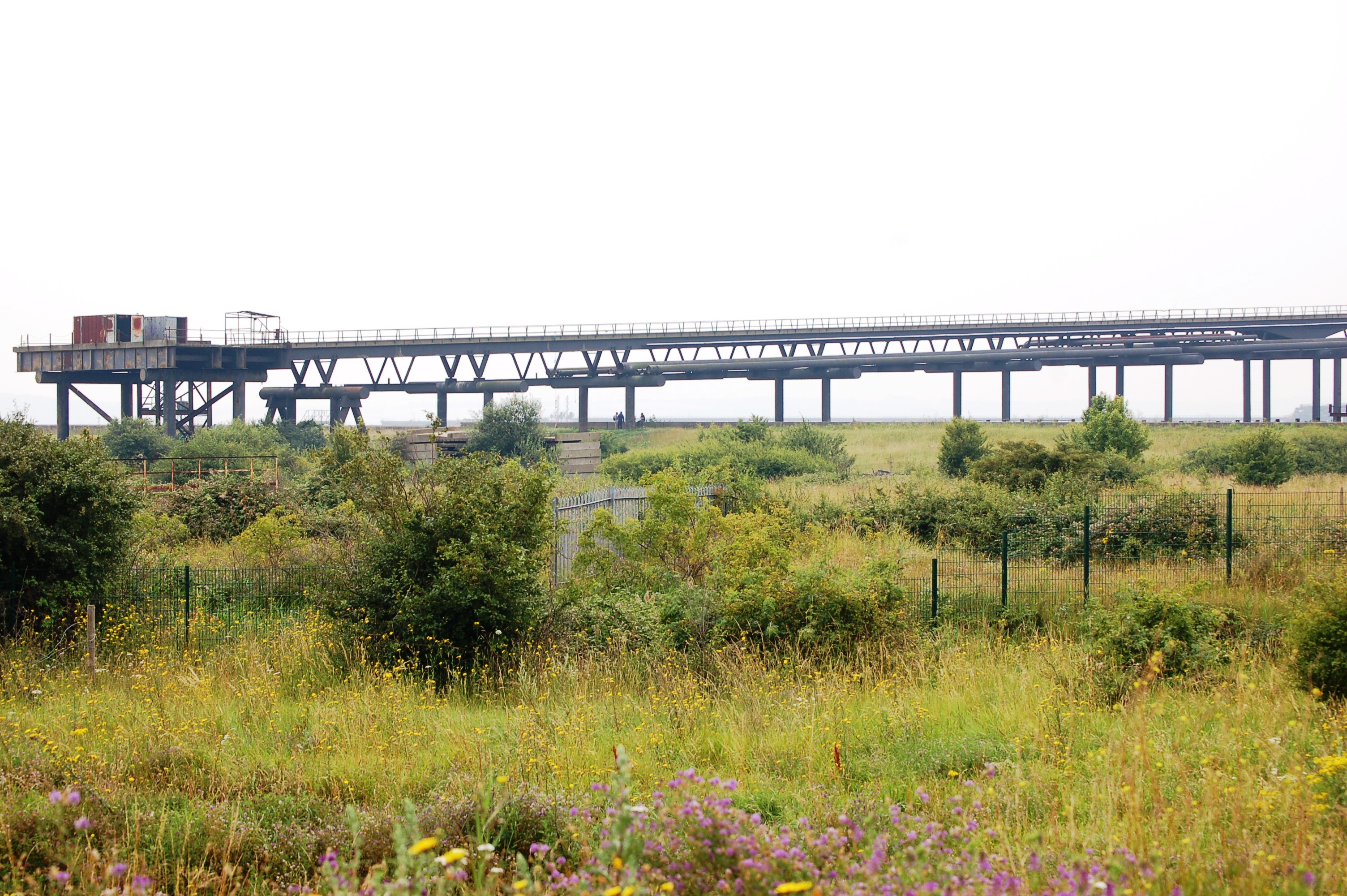 Statement on latest Government planning moves